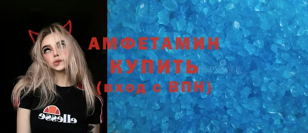 индика Арсеньев
