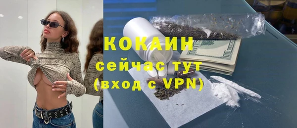 индика Арсеньев