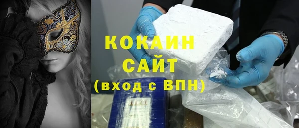 индика Арсеньев