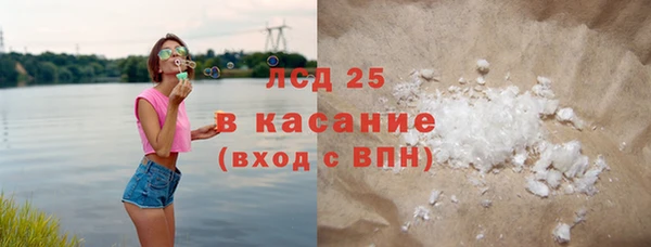индика Арсеньев