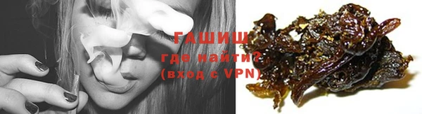 индика Арсеньев