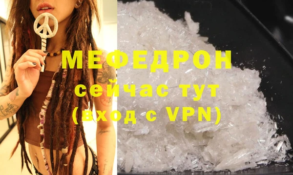 индика Арсеньев