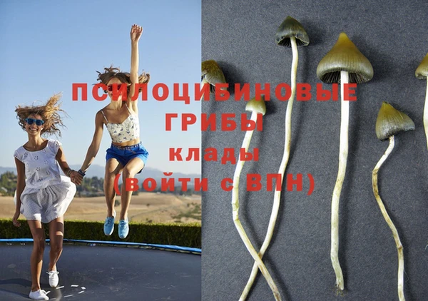 индика Арсеньев