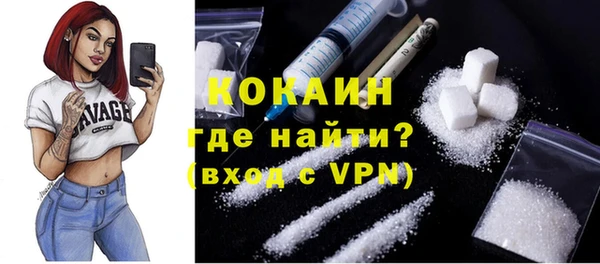 индика Арсеньев