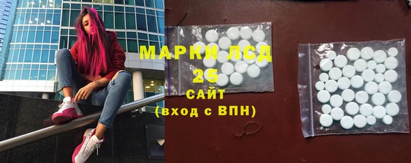 индика Арсеньев