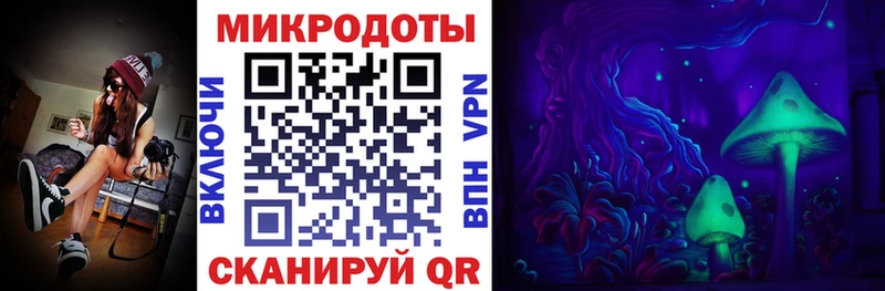 Галлюциногенные грибы Psilocybine cubensis Палласовка