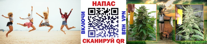 Бошки марихуана план Палласовка